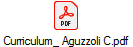 Curriculum_ Aguzzoli C.pdf